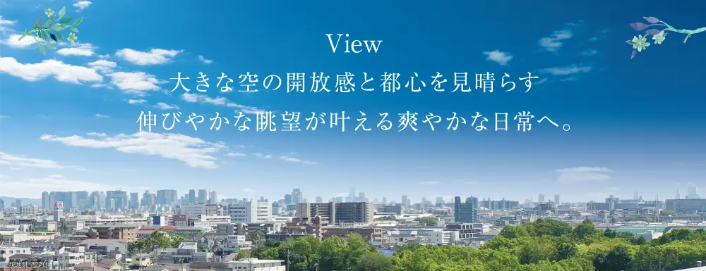 view